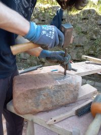 Mit der Natur arbeiten und leben – Workshop-Programm der Biosphärenakademie im Juni