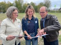 Wo sich Natur frei entfaltet – Bedeutung der Kernzonen im Pfälzerwald