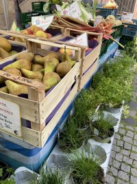 Biosphären-Markt in Kirrweiler – Spezialitäten aus Frankreich und Deutschland